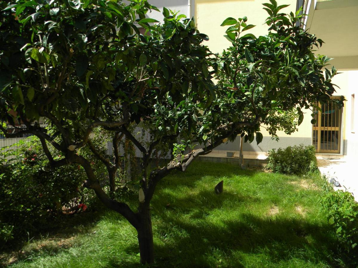 B&B Il Giardino Diamante Exterior photo